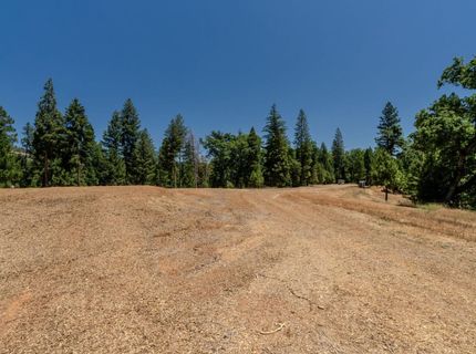 7401 Schaad Rd, Wilseyville, CA 95257 Photo