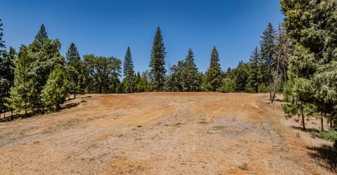 7401 Schaad Rd, Wilseyville, CA 95257 Photo