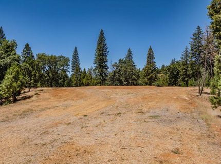 7401 Schaad Rd, Wilseyville, CA 95257 Photo