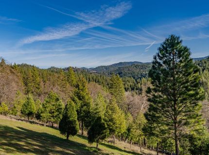 7401 Schaad Rd, Wilseyville, CA 95257 Photo