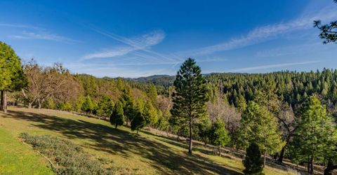 7401 Schaad Rd, Wilseyville, CA 95257 Photo