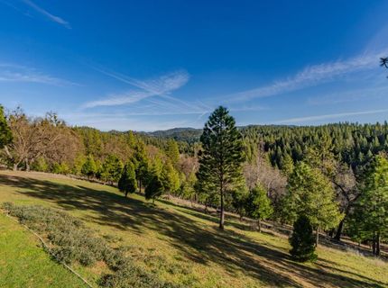 7401 Schaad Rd, Wilseyville, CA 95257 Photo