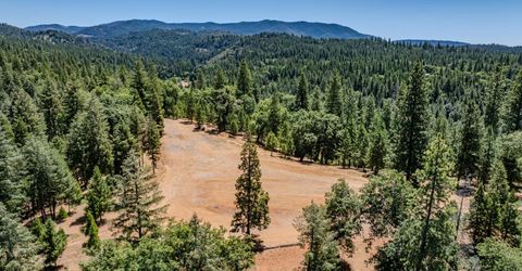 7401 Schaad Rd, Wilseyville, CA 95257 Photo