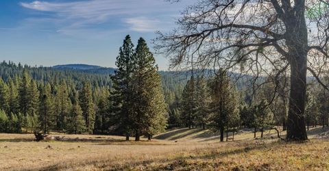 7401 Schaad Rd, Wilseyville, CA 95257 Photo