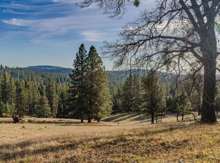 7401 Schaad Rd, Wilseyville, CA 95257 Photo