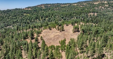 7401 Schaad Rd, Wilseyville, CA 95257 Photo