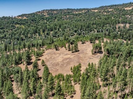 7401 Schaad Rd, Wilseyville, CA 95257 Photo