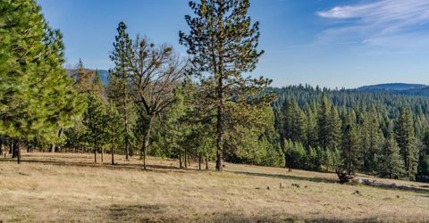 7401 Schaad Rd, Wilseyville, CA 95257 Photo