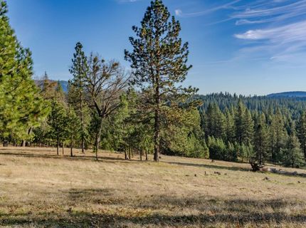 7401 Schaad Rd, Wilseyville, CA 95257 Photo