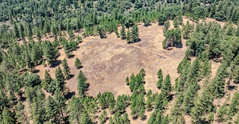 7401 Schaad Rd, Wilseyville, CA 95257 Photo