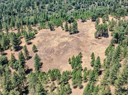 7401 Schaad Rd, Wilseyville, CA 95257 Photo