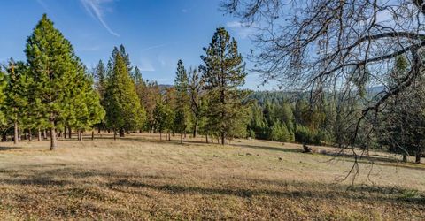 7401 Schaad Rd, Wilseyville, CA 95257 Photo