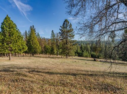 7401 Schaad Rd, Wilseyville, CA 95257 Photo