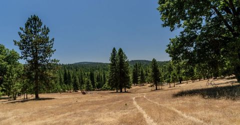 7401 Schaad Rd, Wilseyville, CA 95257 Photo