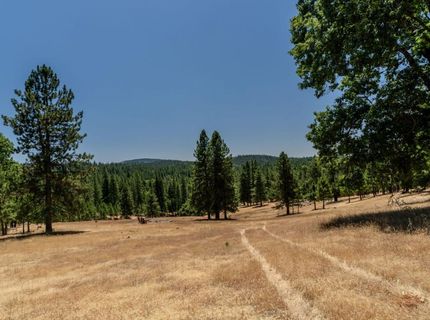 7401 Schaad Rd, Wilseyville, CA 95257 Photo