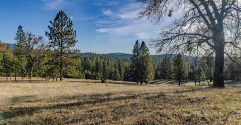 7401 Schaad Rd, Wilseyville, CA 95257 Photo