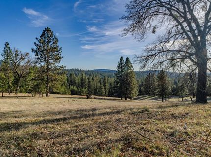 7401 Schaad Rd, Wilseyville, CA 95257 Photo