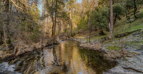 7401 Schaad Rd, Wilseyville, CA 95257 Photo