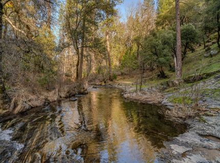 7401 Schaad Rd, Wilseyville, CA 95257 Photo
