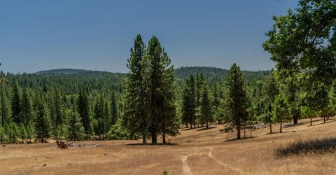 7401 Schaad Rd, Wilseyville, CA 95257 Photo