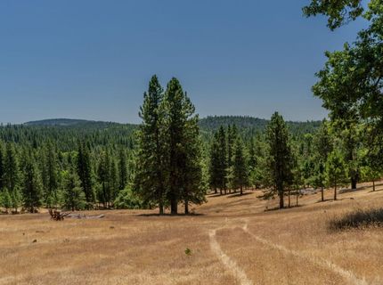 7401 Schaad Rd, Wilseyville, CA 95257 Photo