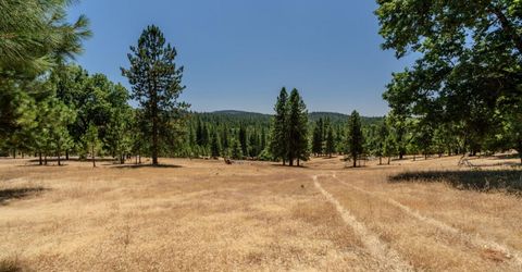 7401 Schaad Rd, Wilseyville, CA 95257 Photo