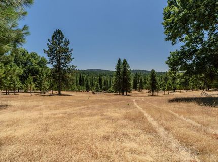 7401 Schaad Rd, Wilseyville, CA 95257 Photo