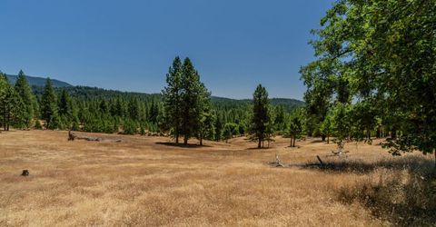7401 Schaad Rd, Wilseyville, CA 95257 Photo