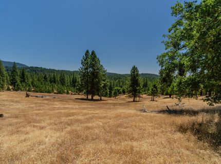 7401 Schaad Rd, Wilseyville, CA 95257 Photo