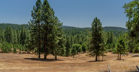 7401 Schaad Rd, Wilseyville, CA 95257 Photo