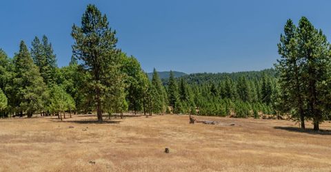 7401 Schaad Rd, Wilseyville, CA 95257 Photo
