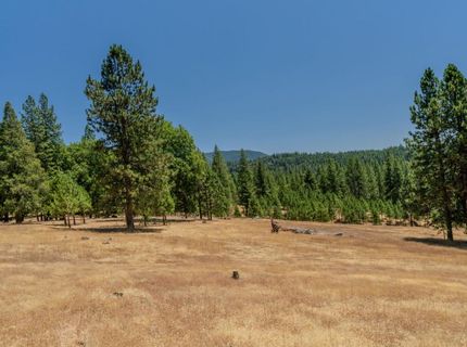 7401 Schaad Rd, Wilseyville, CA 95257 Photo