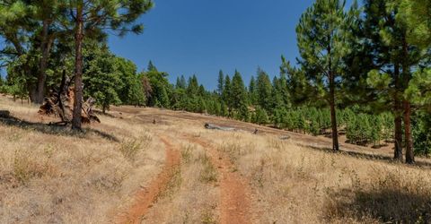 7401 Schaad Rd, Wilseyville, CA 95257 Photo