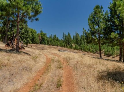 7401 Schaad Rd, Wilseyville, CA 95257 Photo