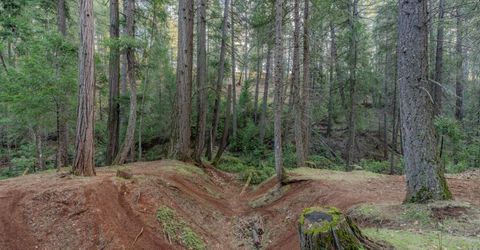 7401 Schaad Rd, Wilseyville, CA 95257 Photo
