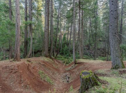 7401 Schaad Rd, Wilseyville, CA 95257 Photo