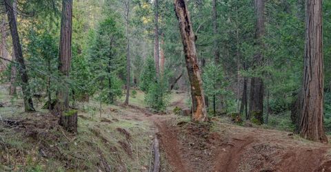 7401 Schaad Rd, Wilseyville, CA 95257 Photo