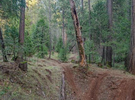 7401 Schaad Rd, Wilseyville, CA 95257 Photo