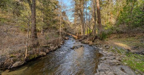 7401 Schaad Rd, Wilseyville, CA 95257 Photo