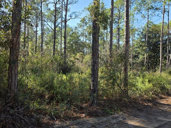 Lot 25 Quail Park, Santa Rosa Beach, FL 32459