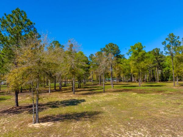 20 Acres Cannon Drive, Paxton, FL 32538