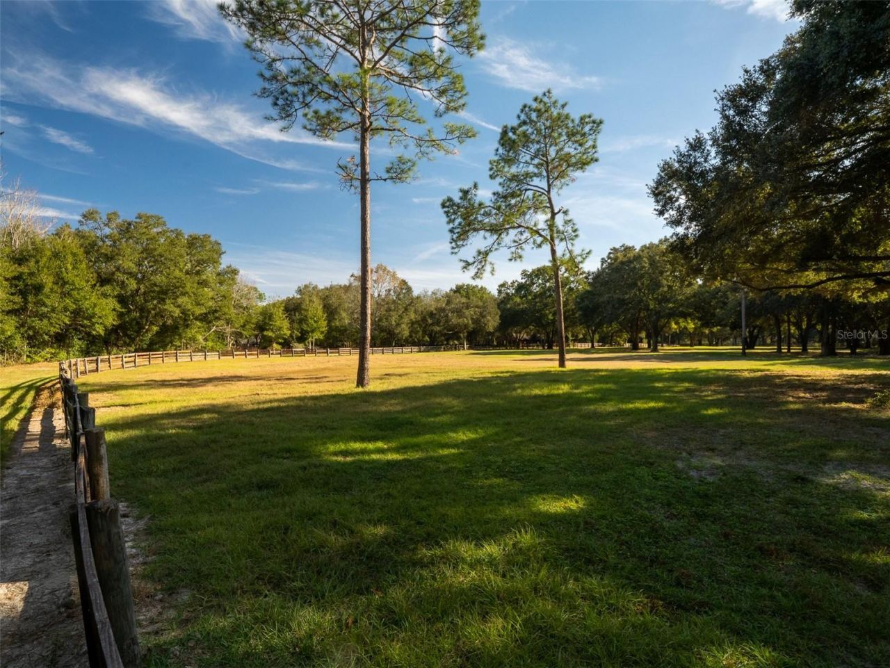 4951 SE 216th Avenue, Morriston, FL 32668 Photo