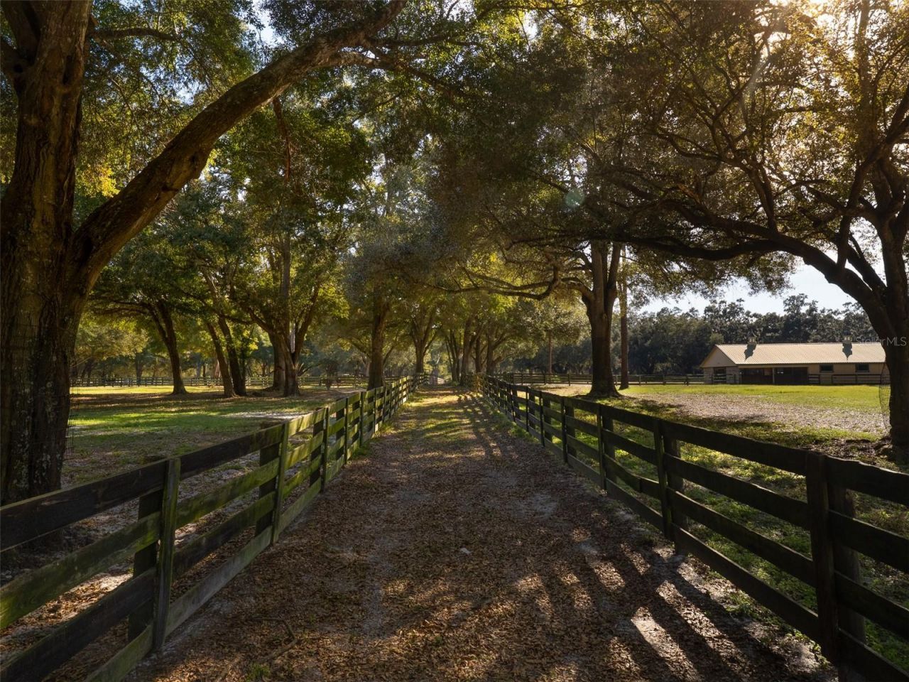 4951 SE 216th Avenue, Morriston, FL 32668 Photo