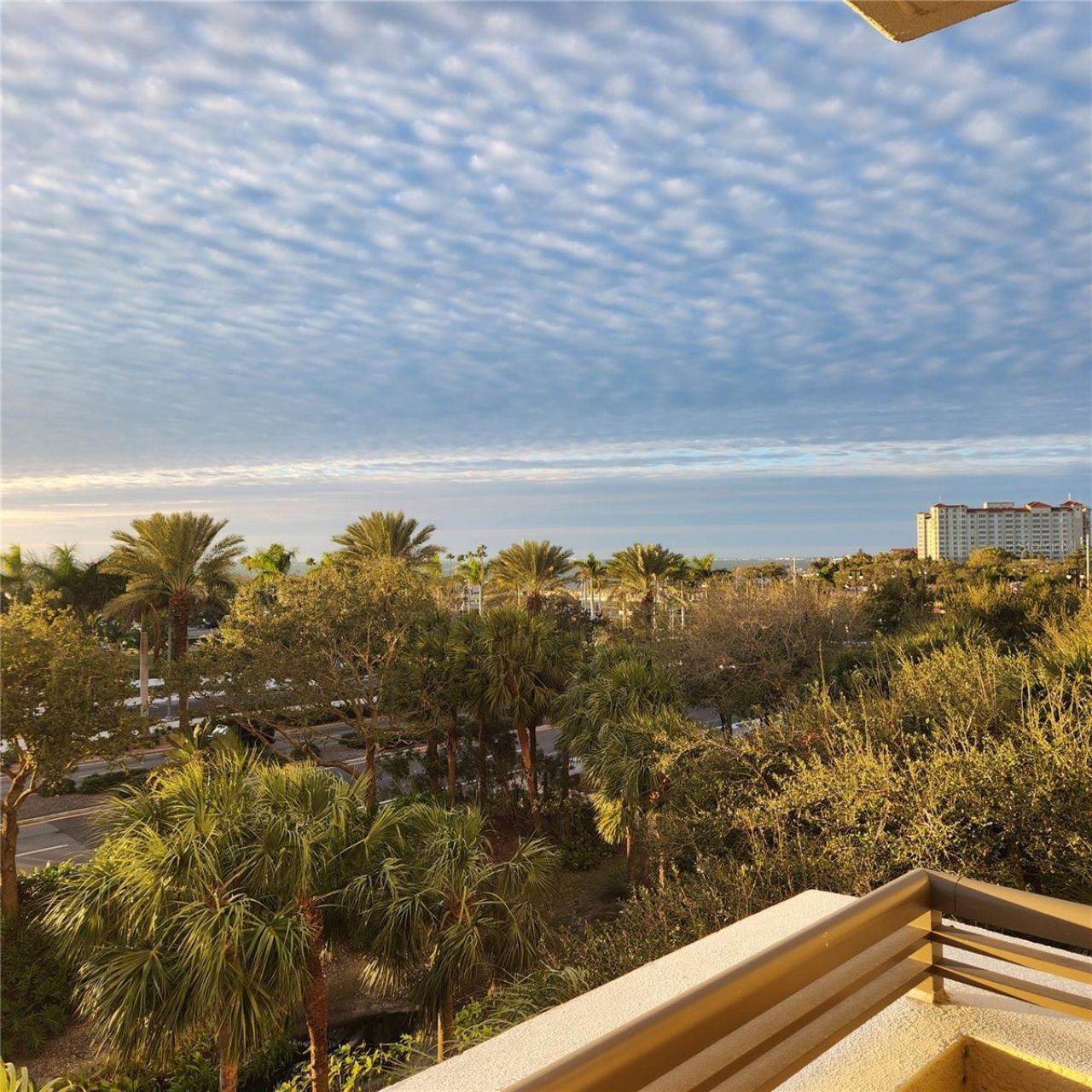 800 N Tamiami Trail, Unit 307, Sarasota, FL 34236 Photo