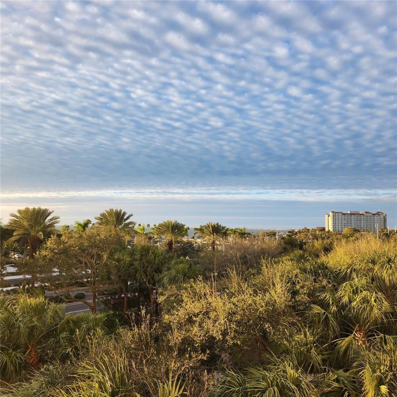 800 N Tamiami Trail, Unit 307, Sarasota, FL 34236 Photo