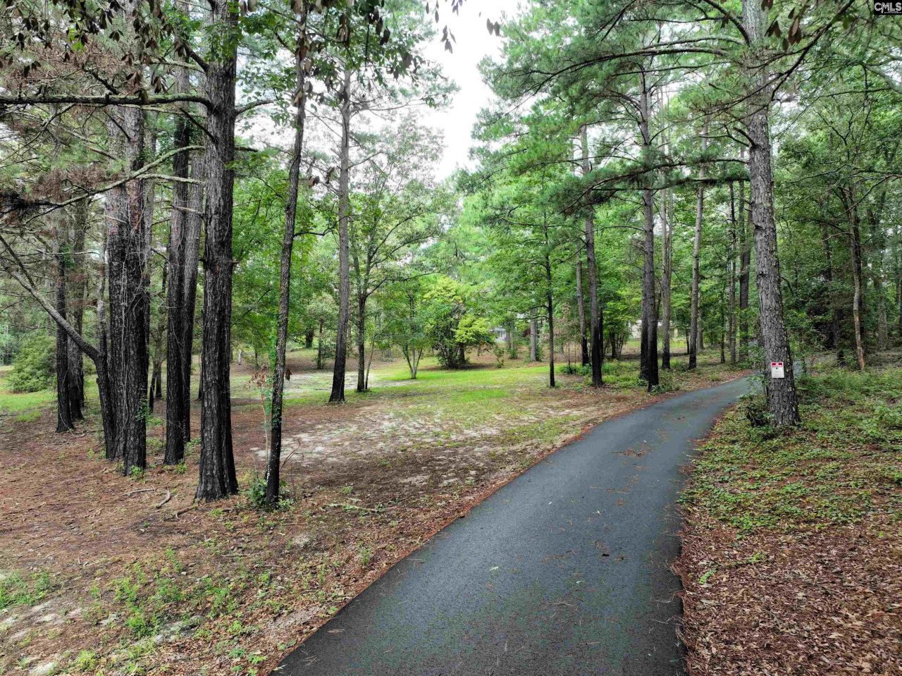 1045 Oscar Price Road Photo 10