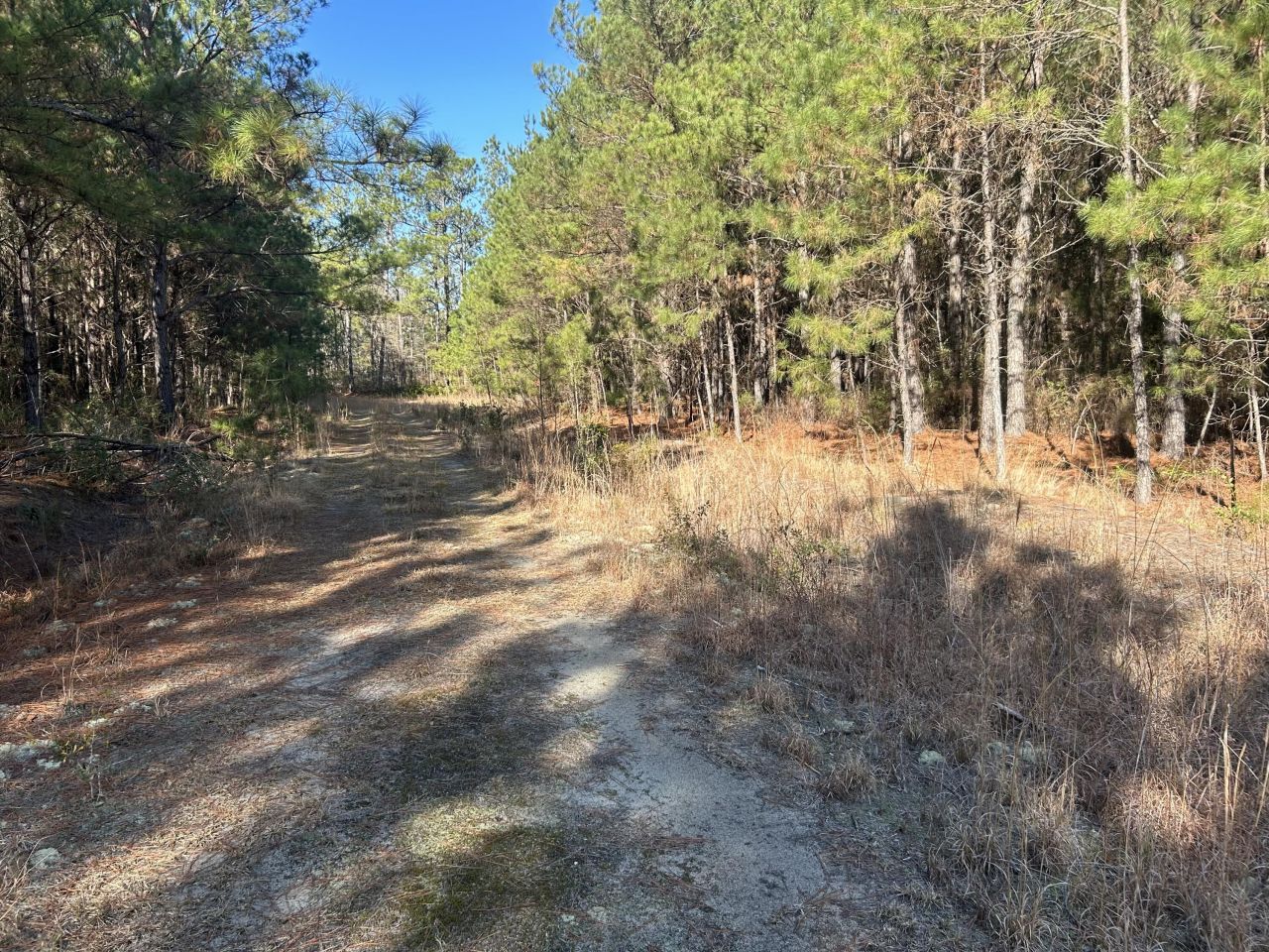 6 Red Oak Rd Photo 11