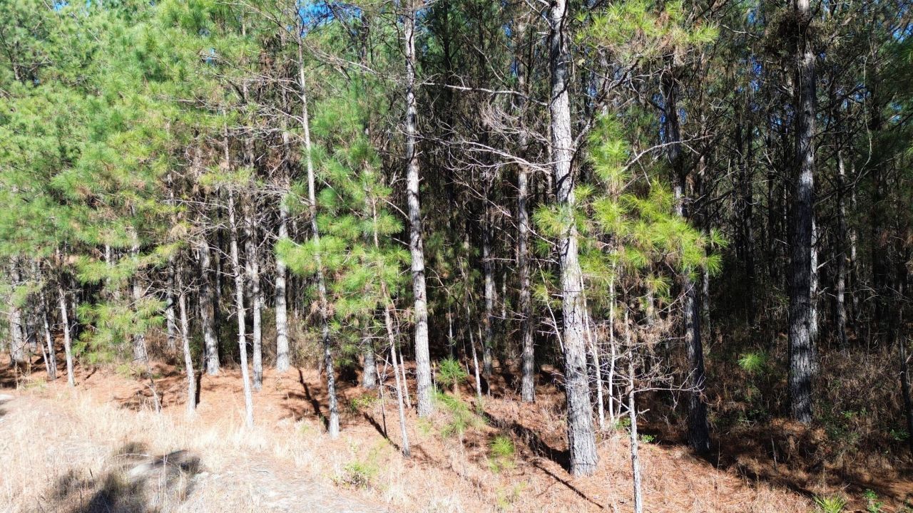 6 Red Oak Rd Photo 5