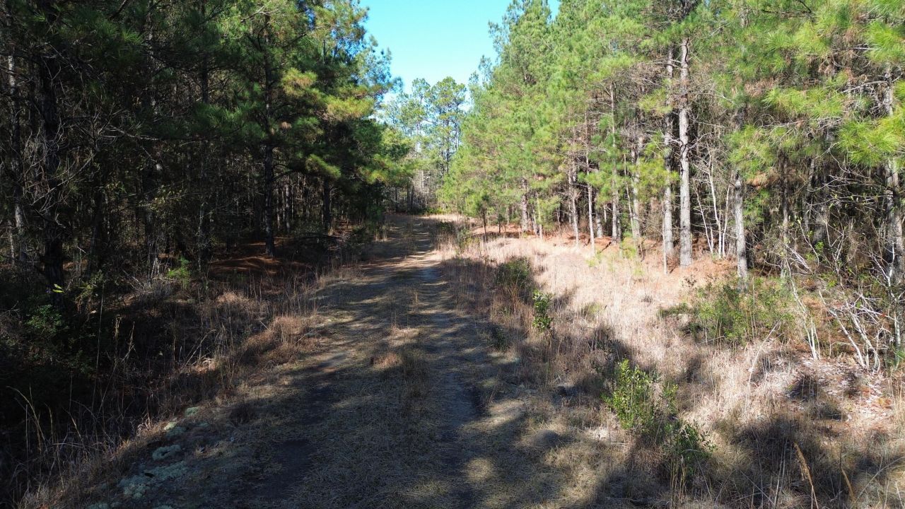 6 Red Oak Rd Photo 6