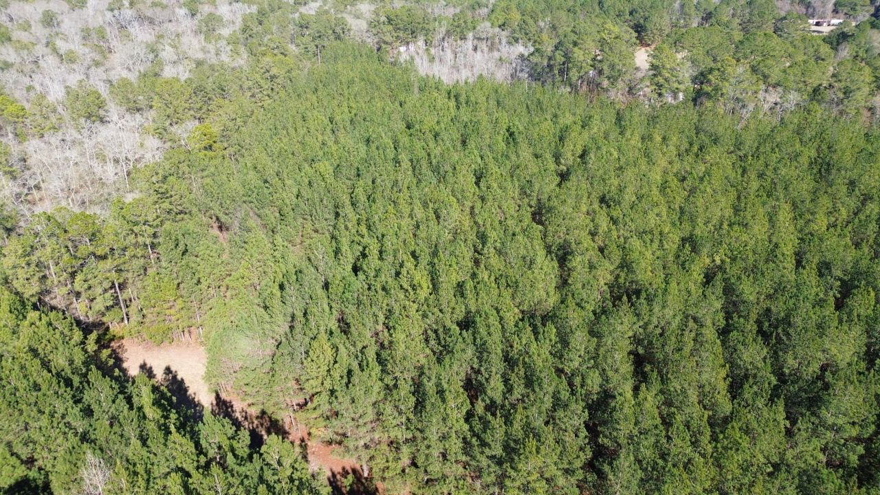 6 Red Oak Rd Photo 7